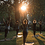 SunSalutation22
